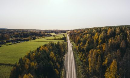 Väg i höstlandskap